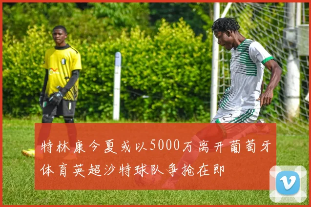 特林康今夏或以5000万离开葡萄牙体育英超沙特球队争抢在即