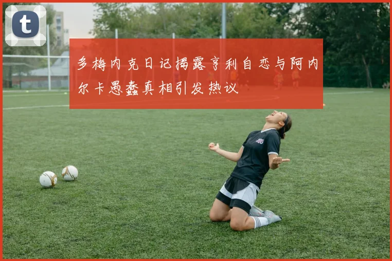 多梅内克日记揭露亨利自恋与阿内尔卡愚蠢真相引发热议