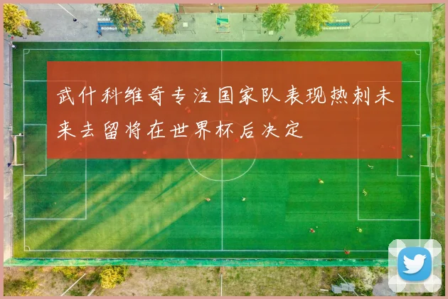 武什科维奇专注国家队表现热刺未来去留将在世界杯后决定