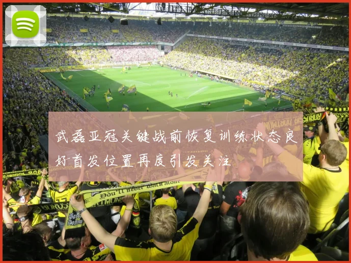 武磊亚冠关键战前恢复训练状态良好首发位置再度引发关注